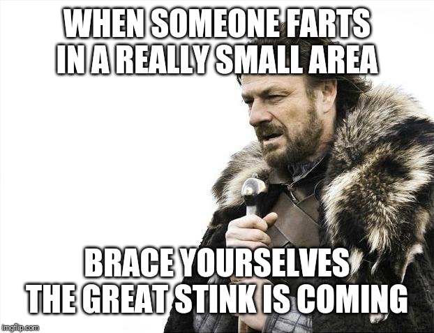 Brace Yourselves X is Coming | WHEN SOMEONE FARTS IN A REALLY SMALL AREA; BRACE YOURSELVES THE GREAT STINK IS COMING | image tagged in memes,brace yourselves x is coming | made w/ Imgflip meme maker