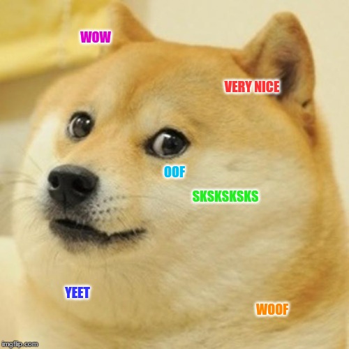 Doge Meme | WOW; VERY NICE; OOF; SKSKSKSKS; YEET; WOOF | image tagged in memes,doge | made w/ Imgflip meme maker