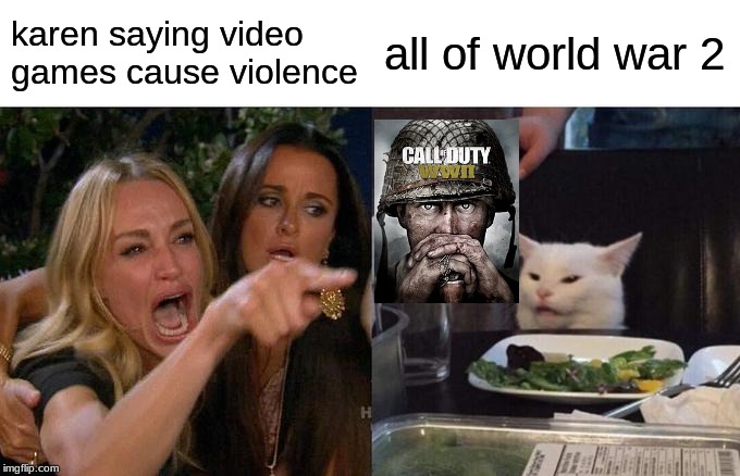 Woman Yelling At Cat Meme | karen saying video games cause violence; all of world war 2 | image tagged in memes,woman yelling at a cat | made w/ Imgflip meme maker