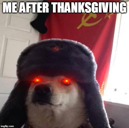 Russian Doge | ME AFTER THANKSGIVING | image tagged in russian doge | made w/ Imgflip meme maker