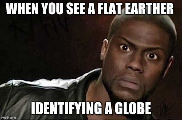 Kevin Hart Meme | WHEN YOU SEE A FLAT EARTHER; IDENTIFYING A GLOBE | image tagged in memes,kevin hart | made w/ Imgflip meme maker