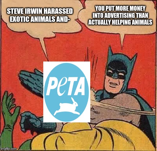 Batman Slapping Robin Meme | STEVE IRWIN HARASSED EXOTIC ANIMALS AND-; YOU PUT MORE MONEY INTO ADVERTISING THAN ACTUALLY HELPING ANIMALS | image tagged in memes,batman slapping robin | made w/ Imgflip meme maker