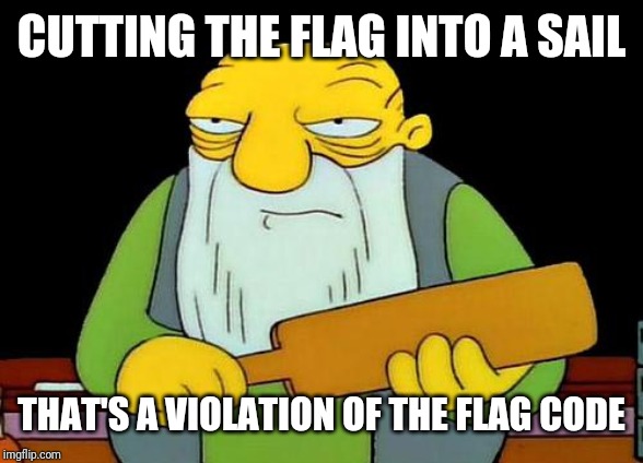 That's a paddlin' Meme | CUTTING THE FLAG INTO A SAIL THAT'S A VIOLATION OF THE FLAG CODE | image tagged in memes,that's a paddlin' | made w/ Imgflip meme maker