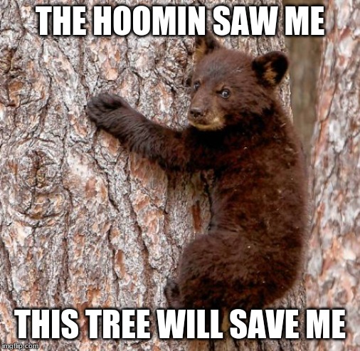 THE HOOMIN SAW ME; THIS TREE WILL SAVE ME | made w/ Imgflip meme maker