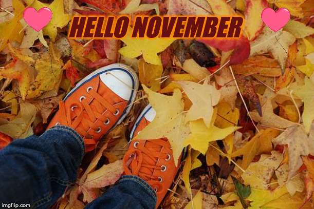 HELLO NOVEMBER | image tagged in november,thanksgiving,converse,happy,holiday,funny memes | made w/ Imgflip meme maker