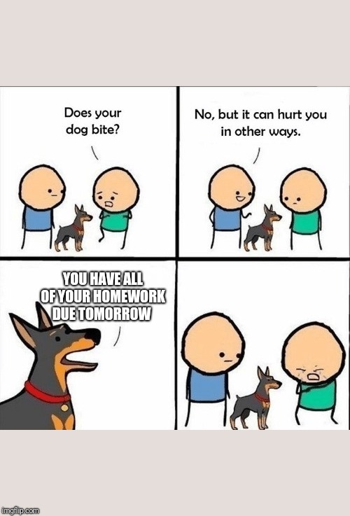 does your dog bite | YOU HAVE ALL OF YOUR HOMEWORK DUE TOMORROW | image tagged in does your dog bite | made w/ Imgflip meme maker