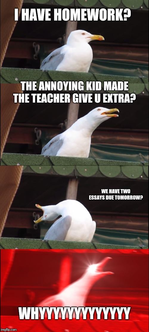 Inhaling Seagull | I HAVE HOMEWORK? THE ANNOYING KID MADE THE TEACHER GIVE U EXTRA? WE HAVE TWO ESSAYS DUE TOMORROW? WHYYYYYYYYYYYYY | image tagged in memes,inhaling seagull | made w/ Imgflip meme maker