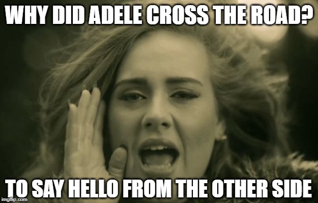 Hi Adele | WHY DID ADELE CROSS THE ROAD? TO SAY HELLO FROM THE OTHER SIDE | image tagged in adele hello | made w/ Imgflip meme maker