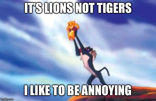 Lion King Cub | IT’S LIONS NOT TIGERS I LIKE TO BE ANNOYING | image tagged in lion king cub | made w/ Imgflip meme maker