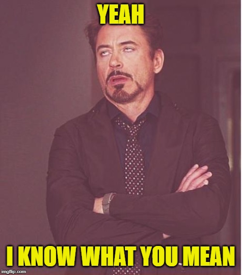 Face You Make Robert Downey Jr Meme | YEAH I KNOW WHAT YOU MEAN | image tagged in memes,face you make robert downey jr | made w/ Imgflip meme maker