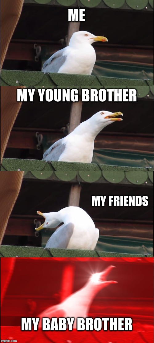 Inhaling Seagull Meme | ME; MY YOUNG BROTHER; MY FRIENDS; MY BABY BROTHER | image tagged in memes,inhaling seagull | made w/ Imgflip meme maker