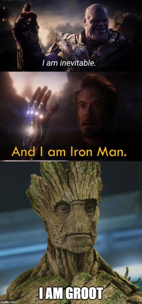 I AM GROOT | image tagged in i am groot,i am inevitable,i am iron man | made w/ Imgflip meme maker