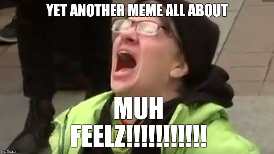 Screaming Liberal  | YET ANOTHER MEME ALL ABOUT MUH FEELZ!!!!!!!!!!! | image tagged in screaming liberal | made w/ Imgflip meme maker