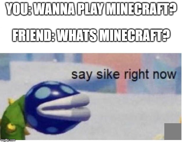 Say sike right right now | YOU: WANNA PLAY MINECRAFT? FRIEND: WHATS MINECRAFT? | image tagged in say sike right now,minecraft,hehe,tickle,my,big belly | made w/ Imgflip meme maker