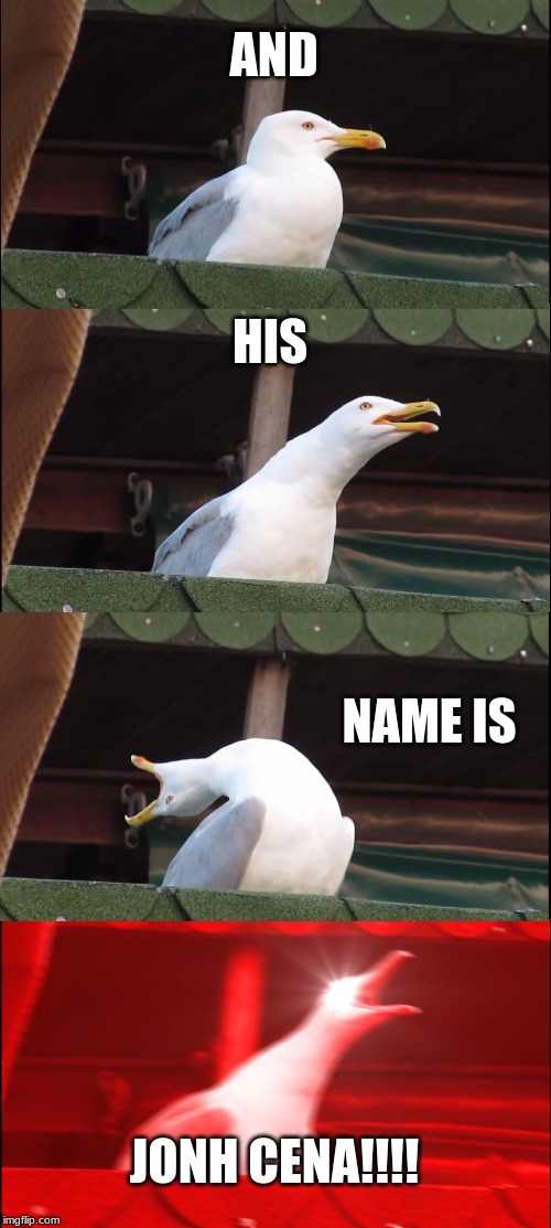 Inhaling Seagull | AND; HIS; NAME IS; JONH CENA!!!! | image tagged in memes,inhaling seagull | made w/ Imgflip meme maker