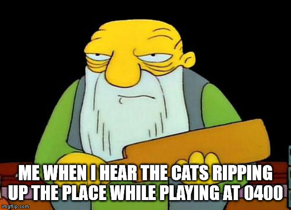 That's a paddlin' Meme | ME WHEN I HEAR THE CATS RIPPING UP THE PLACE WHILE PLAYING AT 0400 | image tagged in memes,that's a paddlin' | made w/ Imgflip meme maker