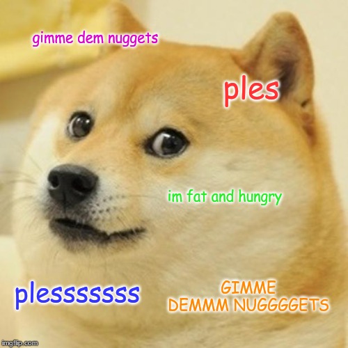 Doge | gimme dem nuggets; ples; im fat and hungry; GIMME DEMMM NUGGGGETS; plesssssss | image tagged in memes,doge | made w/ Imgflip meme maker
