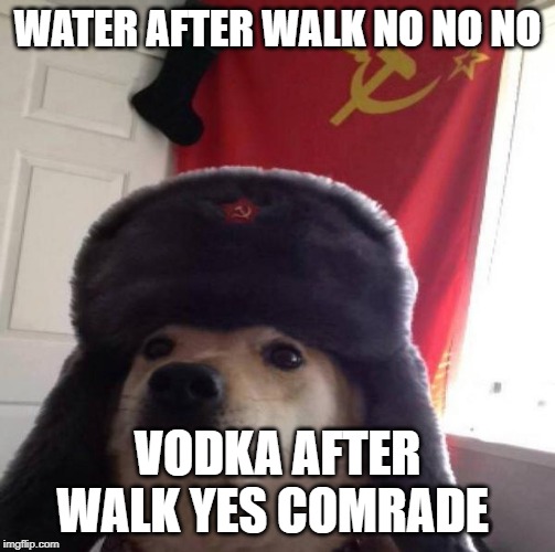 Russian Doge | WATER AFTER WALK NO NO NO; VODKA AFTER WALK YES COMRADE | image tagged in russian doge | made w/ Imgflip meme maker