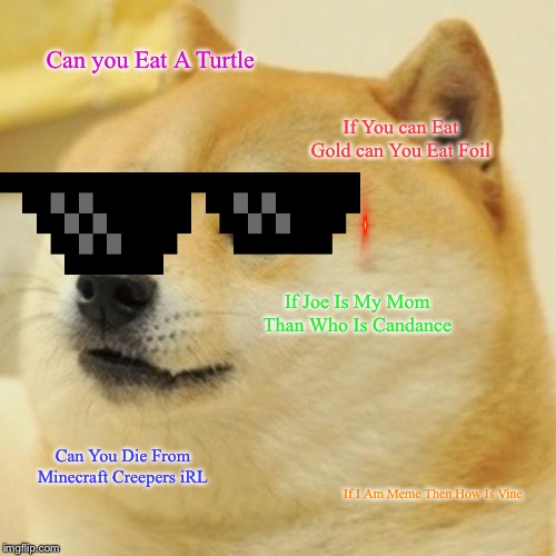 Doge Meme | Can you Eat A Turtle; If You can Eat Gold can You Eat Foil; If Joe Is My Mom Than Who Is Candance; Can You Die From Minecraft Creepers iRL; If I Am Meme Then How Is Vine | image tagged in memes,doge | made w/ Imgflip meme maker
