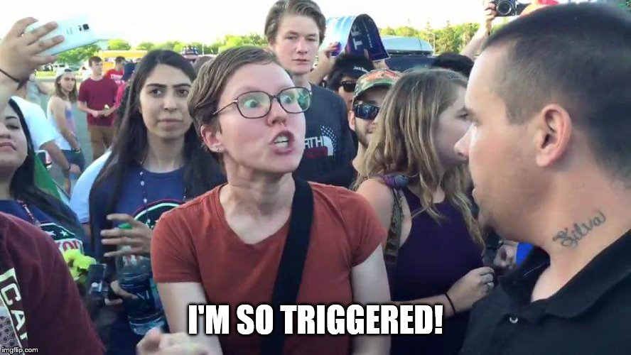 Triggered Feminazi | I'M SO TRIGGERED! | image tagged in triggered feminazi | made w/ Imgflip meme maker