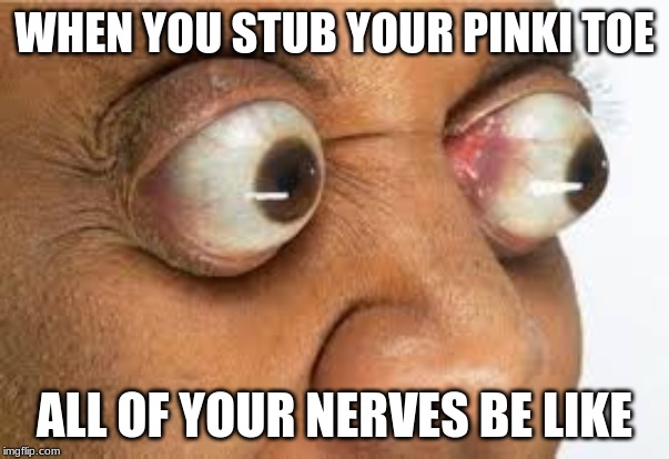 good eyes | WHEN YOU STUB YOUR PINKI TOE; ALL OF YOUR NERVES BE LIKE | image tagged in good eyes | made w/ Imgflip meme maker