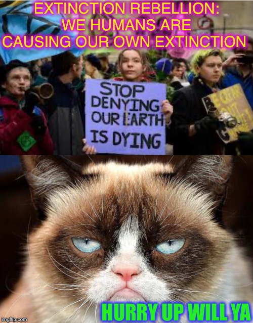 Mechanic : but if you de-cat you’ll really mess up the emissions | EXTINCTION REBELLION: WE HUMANS ARE CAUSING OUR OWN EXTINCTION; HURRY UP WILL YA | image tagged in memes,grumpy cat not amused,extinction rebellion,crazy,environmentalists | made w/ Imgflip meme maker