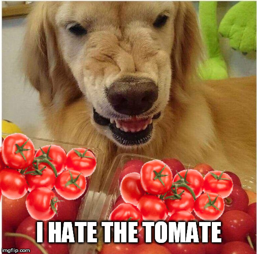 He Hate The Tomate