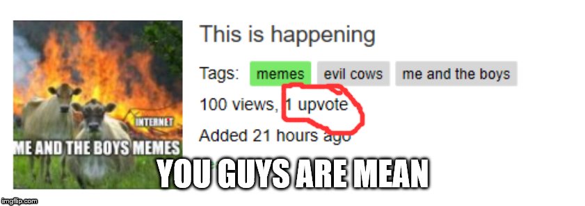 You guys are really mean | YOU GUYS ARE MEAN | image tagged in mean,evil cows,funny memes,why are you still reading this,just,upvote and comment | made w/ Imgflip meme maker