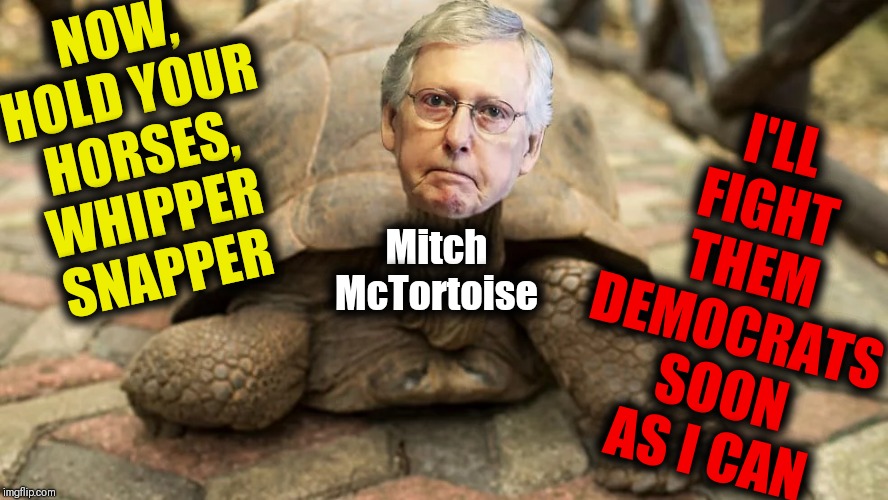 Traveling at the Speed of Dark: Mitch "Speedy" McTortoise | I'LL FIGHT THEM DEMOCRATS SOON AS I CAN; NOW, HOLD YOUR HORSES, WHIPPER SNAPPER; Mitch McTortoise | image tagged in vince vance,mitch mcconnell,tortoise,turtle,old guy,defending the president | made w/ Imgflip meme maker