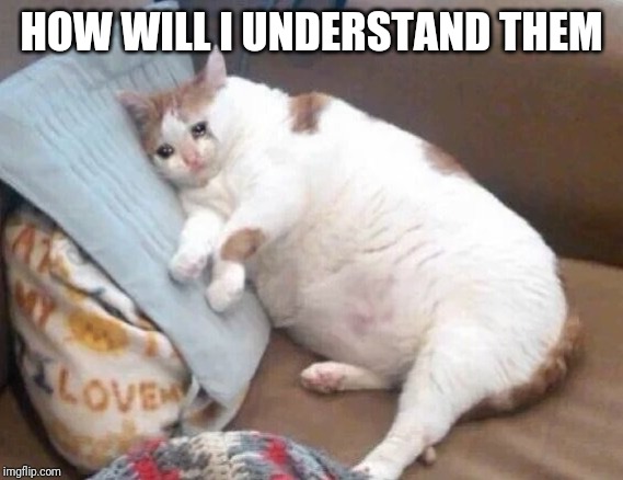 Fat Cat Crying | HOW WILL I UNDERSTAND THEM | image tagged in fat cat crying | made w/ Imgflip meme maker