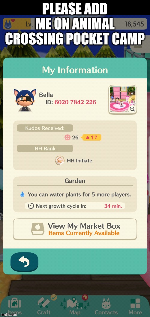 PLEASE ADD ME ON ANIMAL CROSSING POCKET CAMP | image tagged in animal crossing | made w/ Imgflip meme maker
