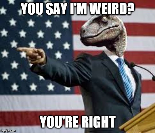 President Raptor | YOU SAY I'M WEIRD? YOU'RE RIGHT | image tagged in president raptor | made w/ Imgflip meme maker