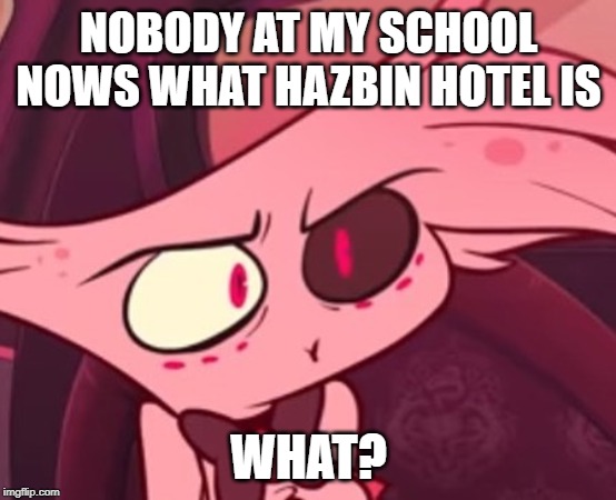 :( | NOBODY AT MY SCHOOL NOWS WHAT HAZBIN HOTEL IS; WHAT? | image tagged in what,hazbin hotel,school,relatable,fun,funny memes | made w/ Imgflip meme maker