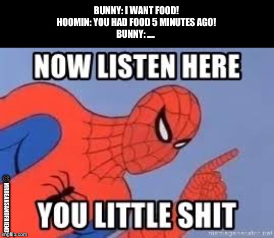 Now listen you little shit |  BUNNY: I WANT FOOD!
HOOMIN: YOU HAD FOOD 5 MINUTES AGO!
BUNNY: .... ©️MRBEANSANDFRIENDS | image tagged in now listen you little shit | made w/ Imgflip meme maker