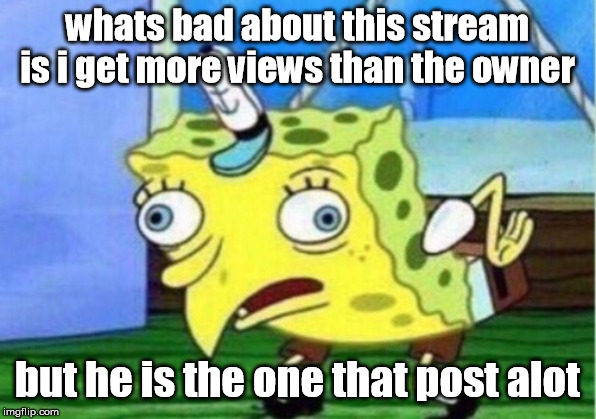 sad life |  whats bad about this stream is i get more views than the owner; but he is the one that post alot | image tagged in memes,mocking spongebob | made w/ Imgflip meme maker