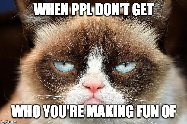 Grumpy Cat Not Amused Meme | WHEN PPL DON'T GET WHO YOU'RE MAKING FUN OF | image tagged in memes,grumpy cat not amused,grumpy cat | made w/ Imgflip meme maker