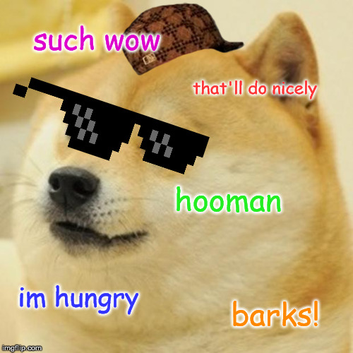 Doge Meme | such wow; that'll do nicely; hooman; im hungry; barks! | image tagged in memes,doge | made w/ Imgflip meme maker