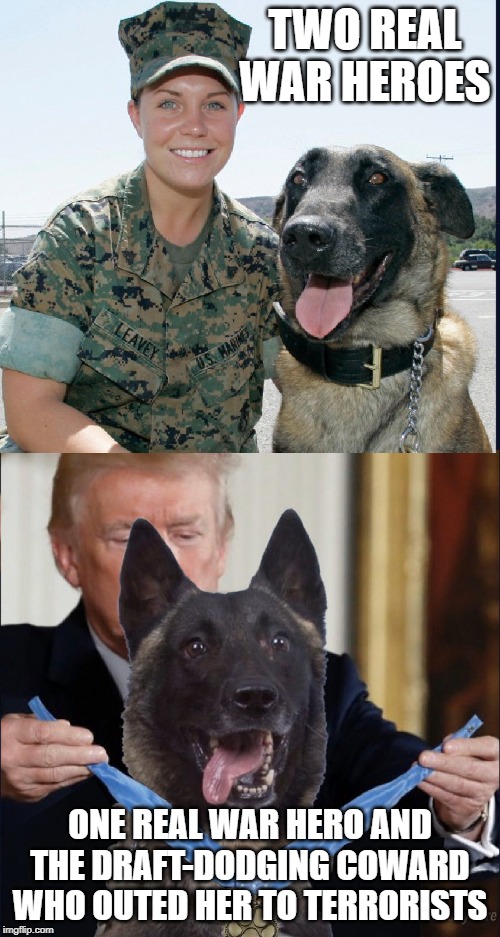 3 War Heroes and a Coward | TWO REAL WAR HEROES; ONE REAL WAR HERO AND THE DRAFT-DODGING COWARD WHO OUTED HER TO TERRORISTS | image tagged in 3 war heroes and a coward | made w/ Imgflip meme maker