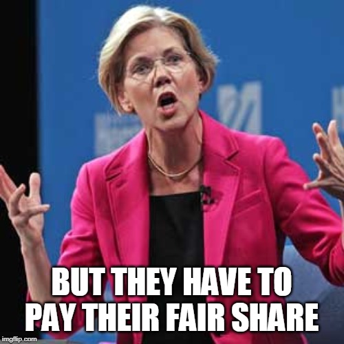 Elizabeth Warren | BUT THEY HAVE TO PAY THEIR FAIR SHARE | image tagged in elizabeth warren | made w/ Imgflip meme maker
