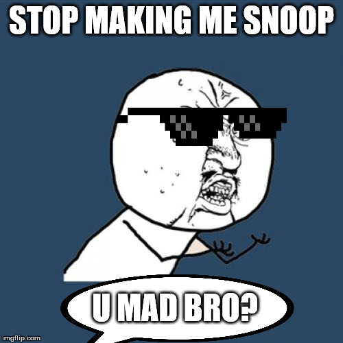 Y U No Meme | STOP MAKING ME SNOOP; U MAD BRO? | image tagged in memes,y u no | made w/ Imgflip meme maker
