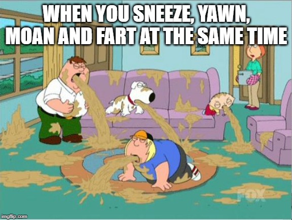 When you sneexe, yawn, moan and fart at the same time | WHEN YOU SNEEZE, YAWN, MOAN AND FART AT THE SAME TIME | image tagged in family guy puke,memes,funny memes,meme,funny meme,dank memes | made w/ Imgflip meme maker