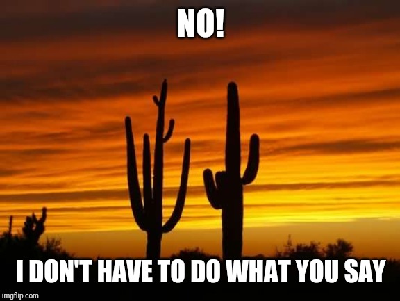 Arizona dst | NO! I DON'T HAVE TO DO WHAT YOU SAY | image tagged in arizona dst | made w/ Imgflip meme maker