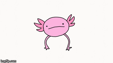 axolotl animated gif