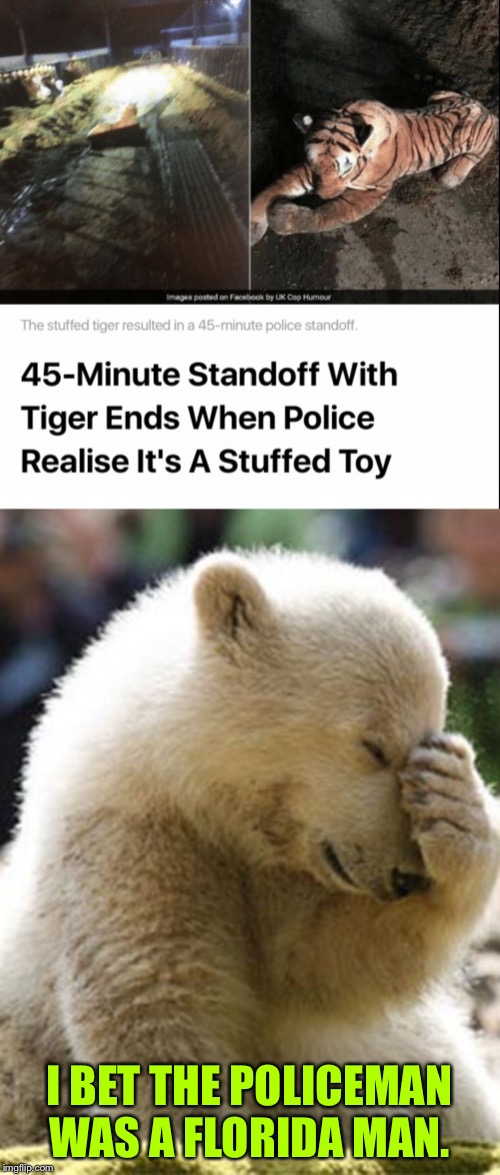 When it tuesday and you cop |  I BET THE POLICEMAN WAS A FLORIDA MAN. | image tagged in memes,facepalm bear,tiger,police,cops,funny | made w/ Imgflip meme maker