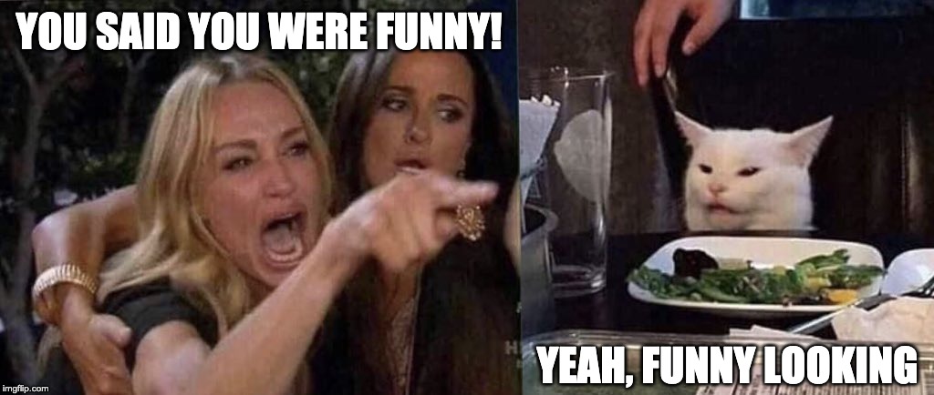woman yelling at cat | YOU SAID YOU WERE FUNNY! YEAH, FUNNY LOOKING | image tagged in woman yelling at cat | made w/ Imgflip meme maker
