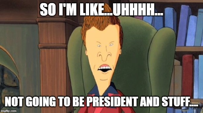 butthead | SO I'M LIKE...UHHHH... NOT GOING TO BE PRESIDENT AND STUFF.... | image tagged in butthead | made w/ Imgflip meme maker