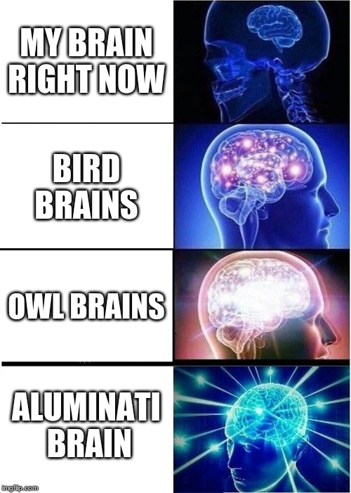 Expanding Brain | MY BRAIN RIGHT NOW; BIRD BRAINS; OWL BRAINS; ALUMINATI  BRAIN | image tagged in memes,expanding brain | made w/ Imgflip meme maker