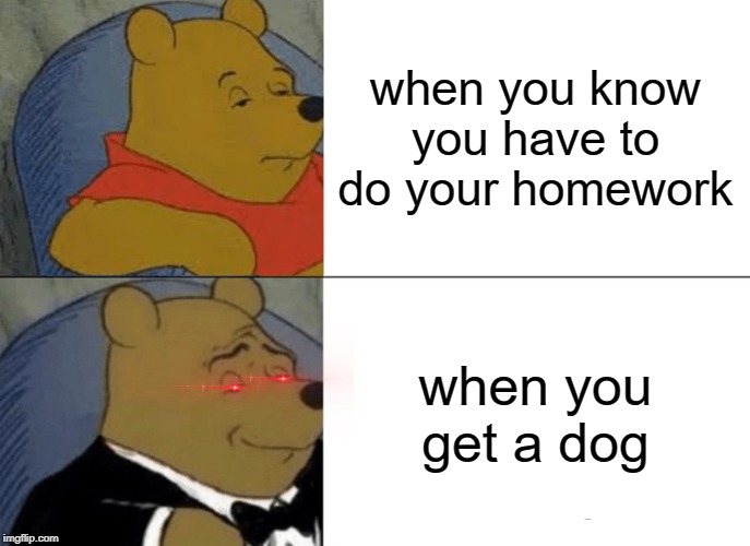 Tuxedo Winnie The Pooh Meme |  when you know you have to do your homework; when you get a dog | image tagged in memes,tuxedo winnie the pooh | made w/ Imgflip meme maker