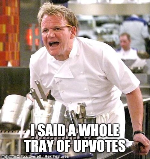 Chef Gordon Ramsay Meme |  I SAID A WHOLE TRAY OF UPVOTES | image tagged in memes,chef gordon ramsay | made w/ Imgflip meme maker