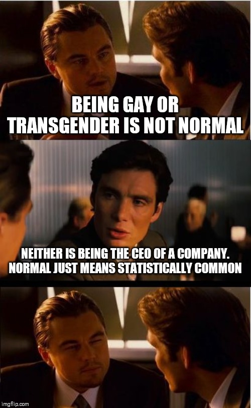 Inception Meme | BEING GAY OR TRANSGENDER IS NOT NORMAL; NEITHER IS BEING THE CEO OF A COMPANY. NORMAL JUST MEANS STATISTICALLY COMMON | image tagged in memes,inception | made w/ Imgflip meme maker